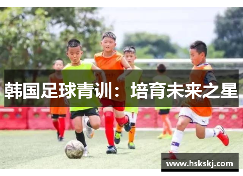 韩国足球青训：培育未来之星